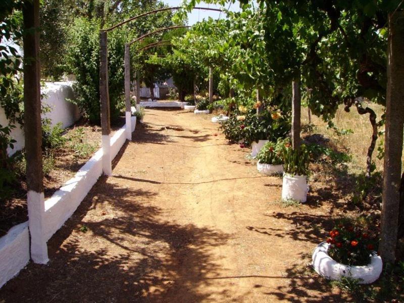 Pensjonat Turimenha Marvão Zewnętrze zdjęcie