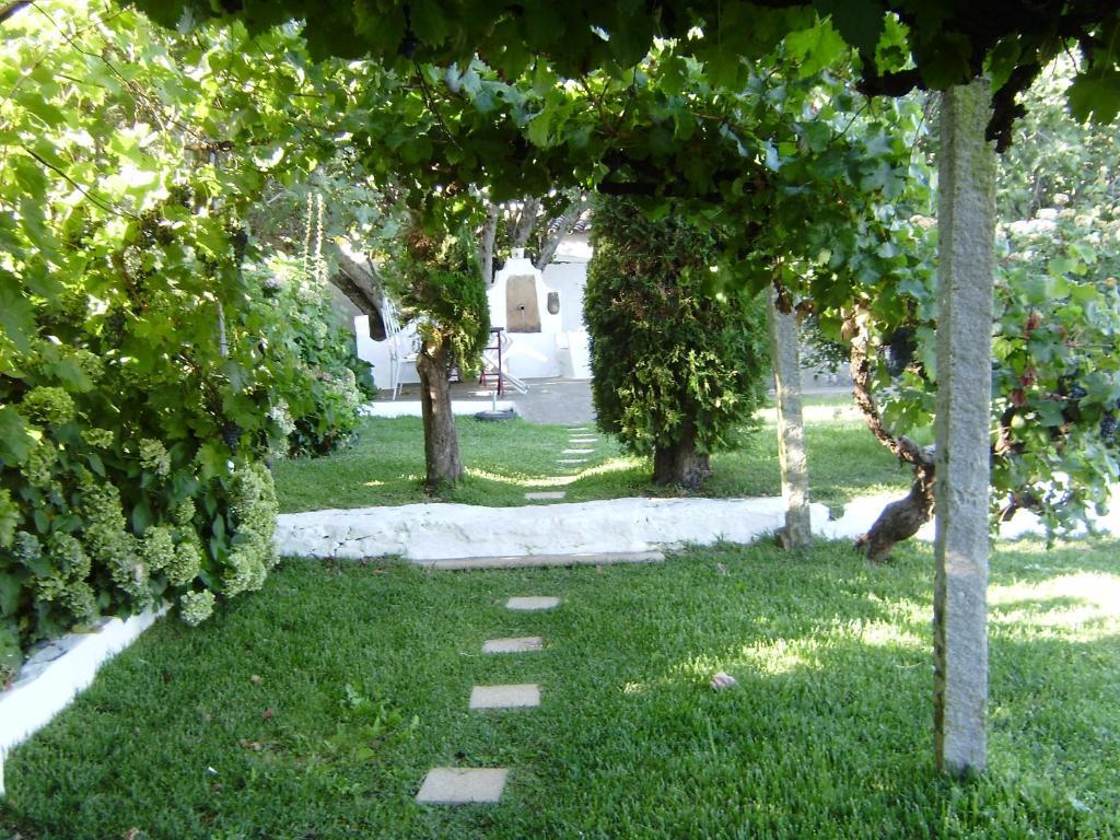 Pensjonat Turimenha Marvão Zewnętrze zdjęcie